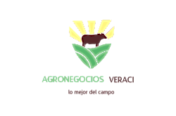 AGRONEGOCIOS