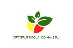 ORTOFRUTTICOLA  DO.MA. S.R.L.