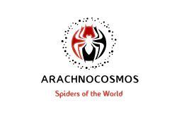 ARACHNOCOSMOS