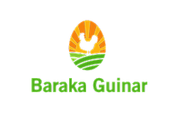 Baraka Guinar