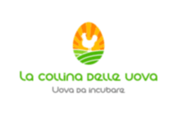 La collina delle uova