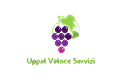 Uppal Veloce Servizi