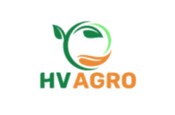 HV