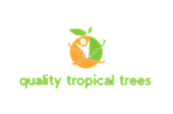 quality tropical trees