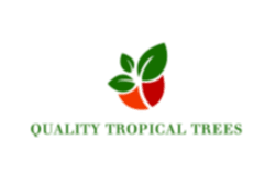 quality tropical trees