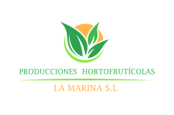 PRODUCCIONES