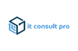 it consult pro
