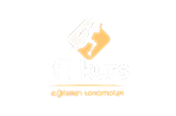 f1 kurs