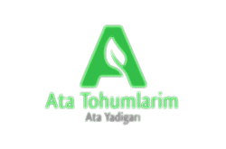 Ata Tohumlarim
