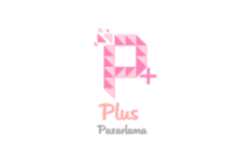Plus