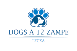 DOGS A 12 ZAMPE