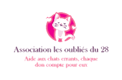 Association les oubliés du 28