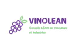VINOLEAN